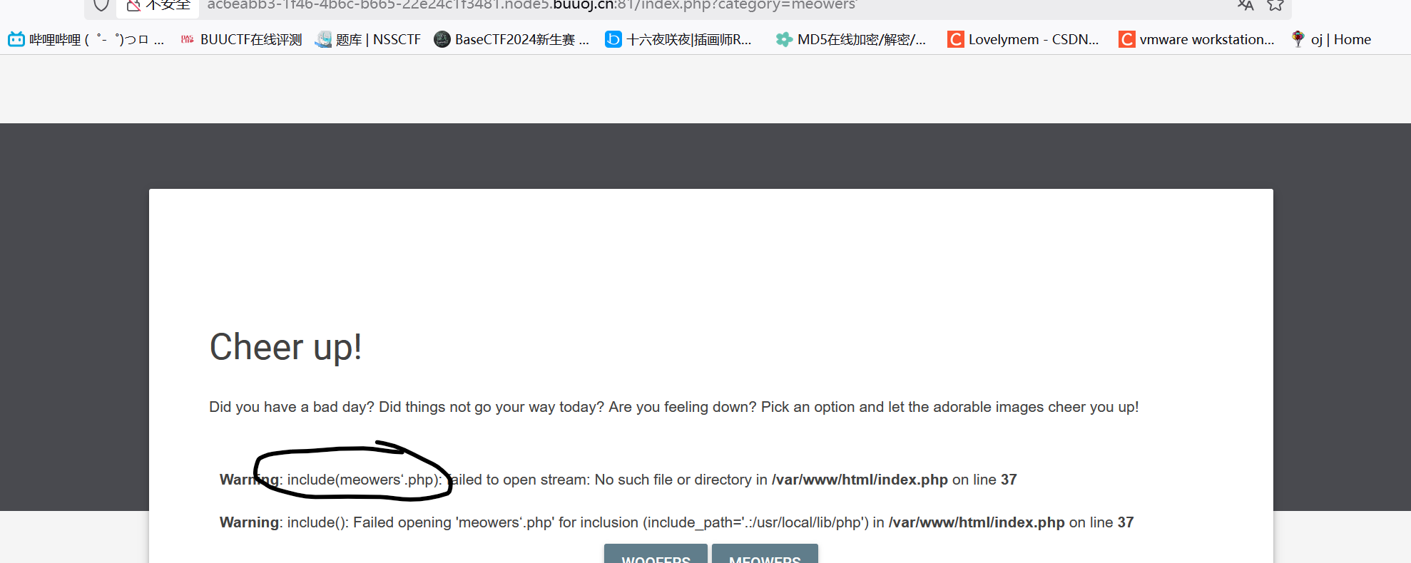 image-20250319191210517