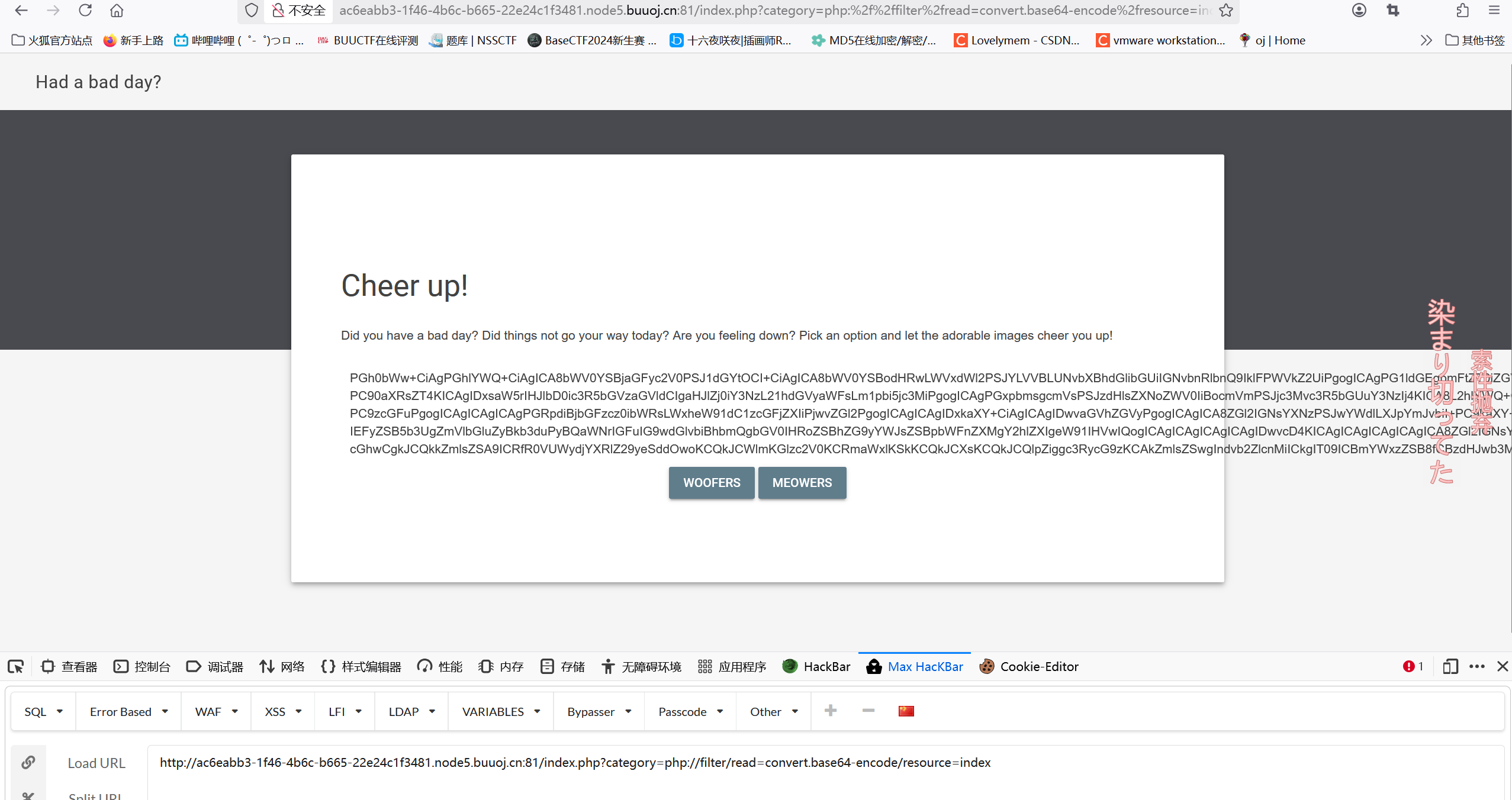 image-20250319191351317