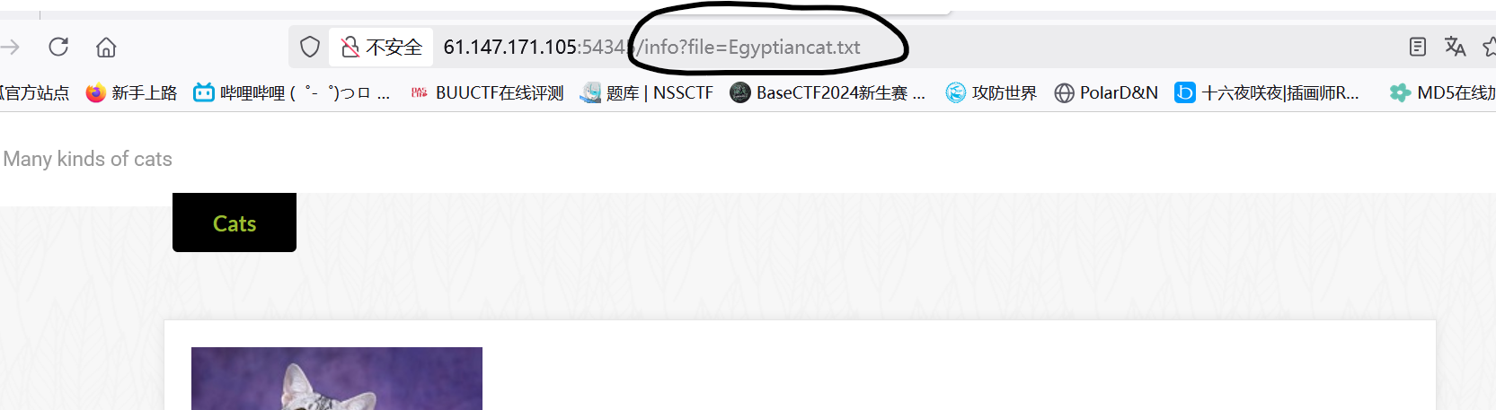 image-20250328001356207