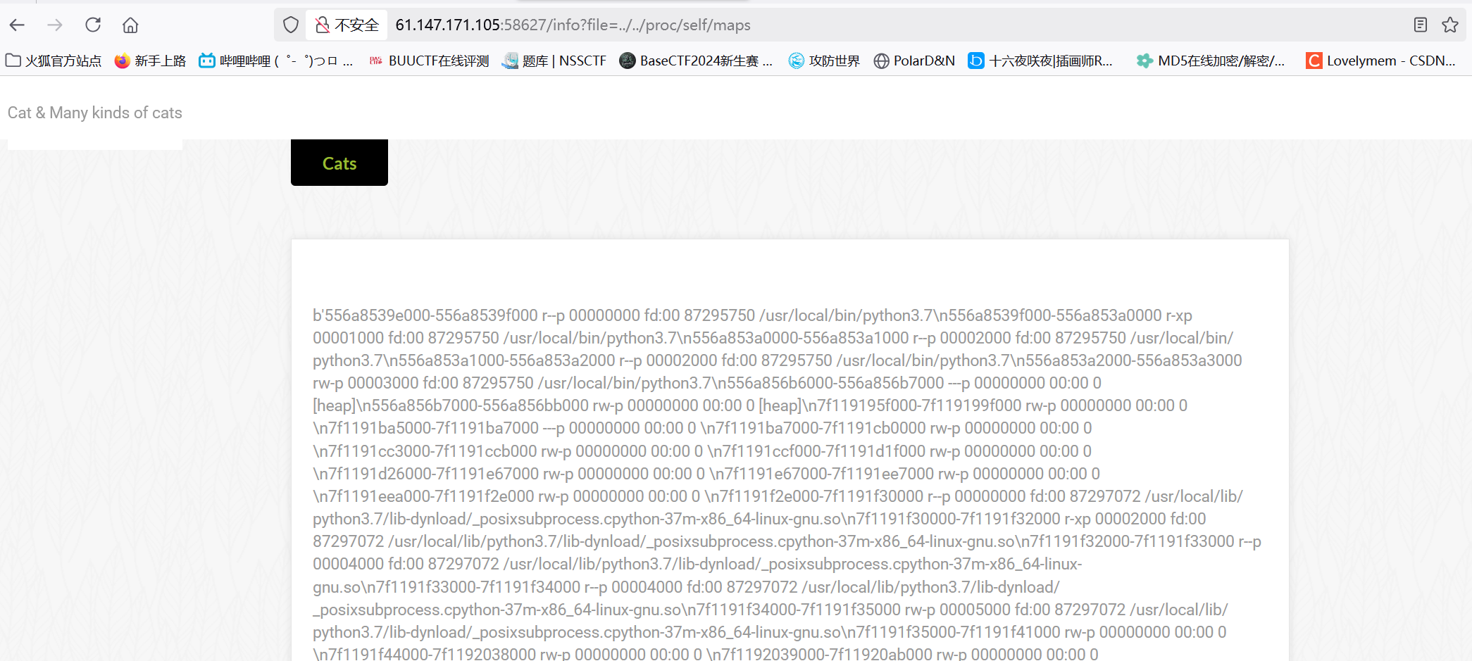 image-20250328174332180