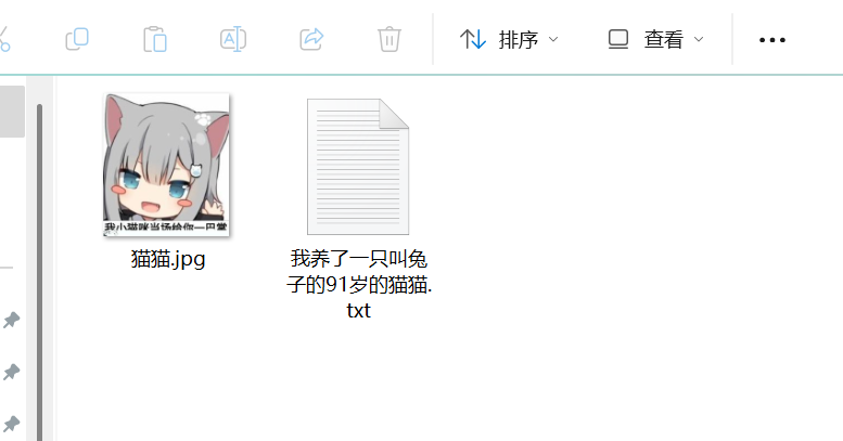 image-20250329231558158