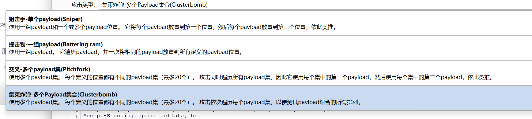 image-20250401235315520