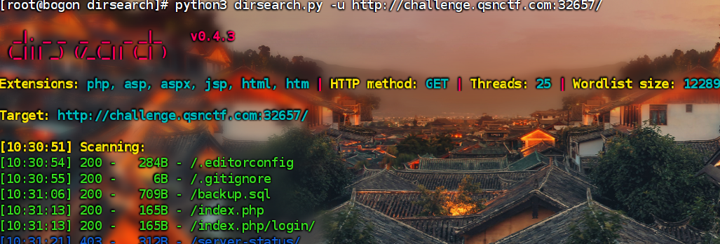 image-20250413103600446