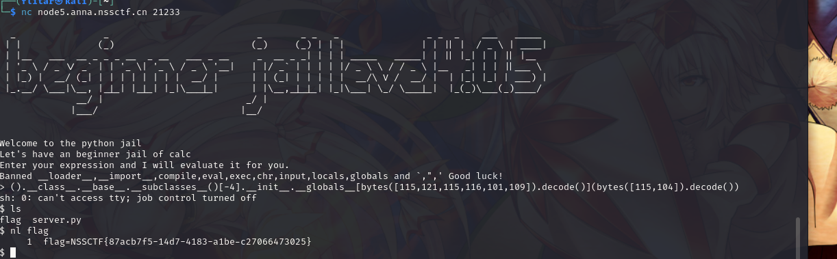 image-20250429004445276