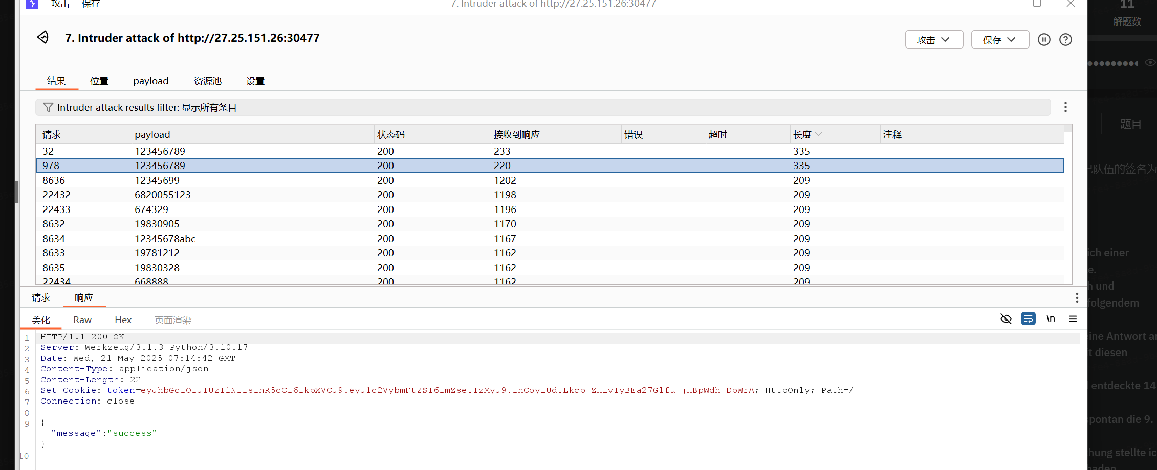 image-20250521152638411