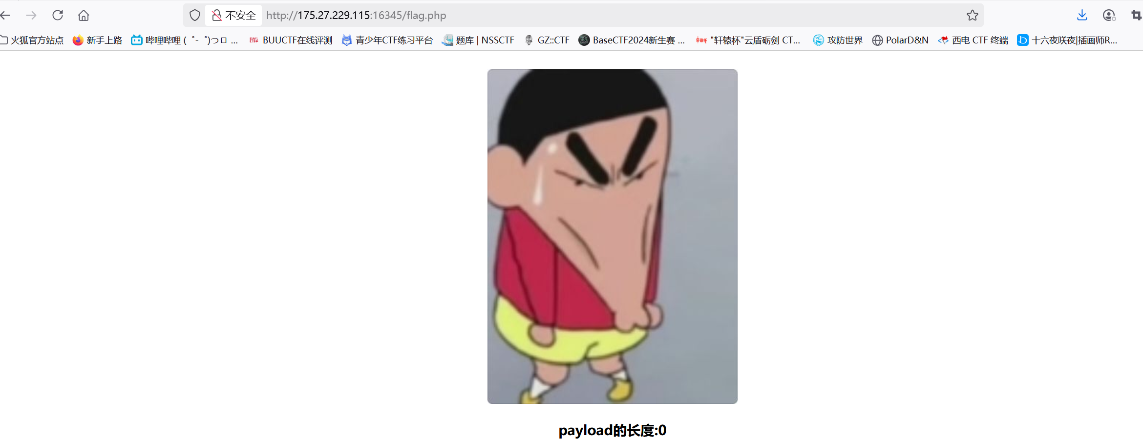 image-20250524125050766