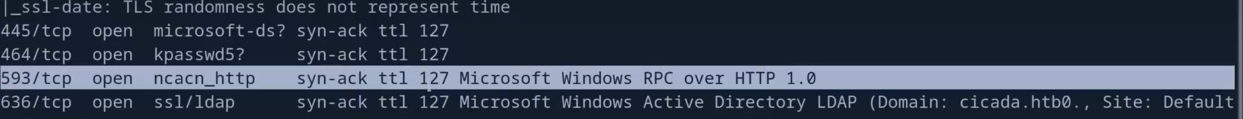 image-20250725140702408